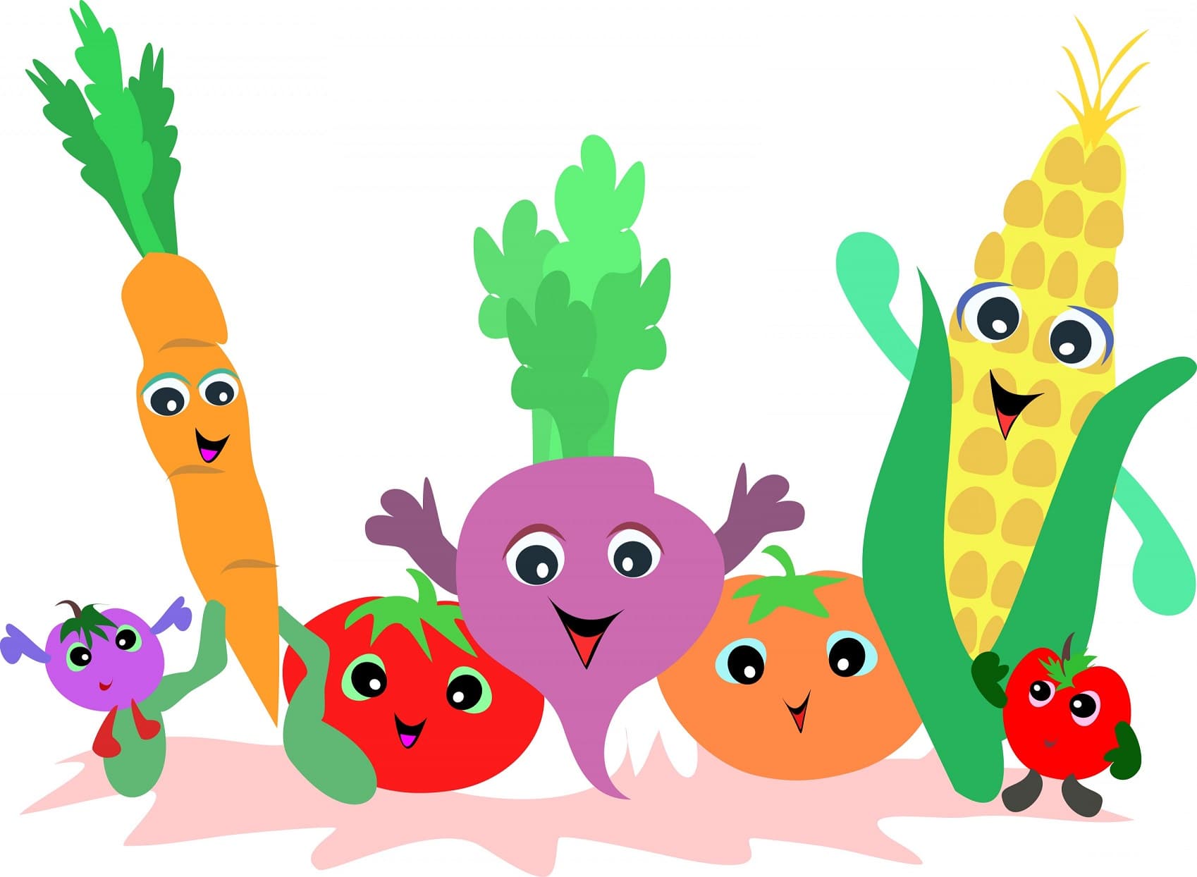 School garden 6
