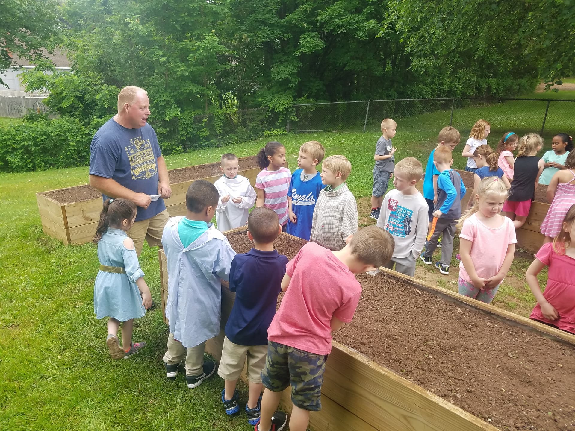 School garden 4