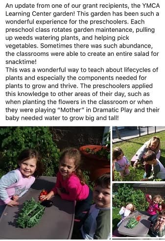 YMCA garden 4